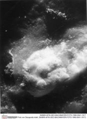Historisches Foto von Decapoda indet. (NHMW-AFW-GEO-BACHMAYER-FOTO-1990-0041-1917)